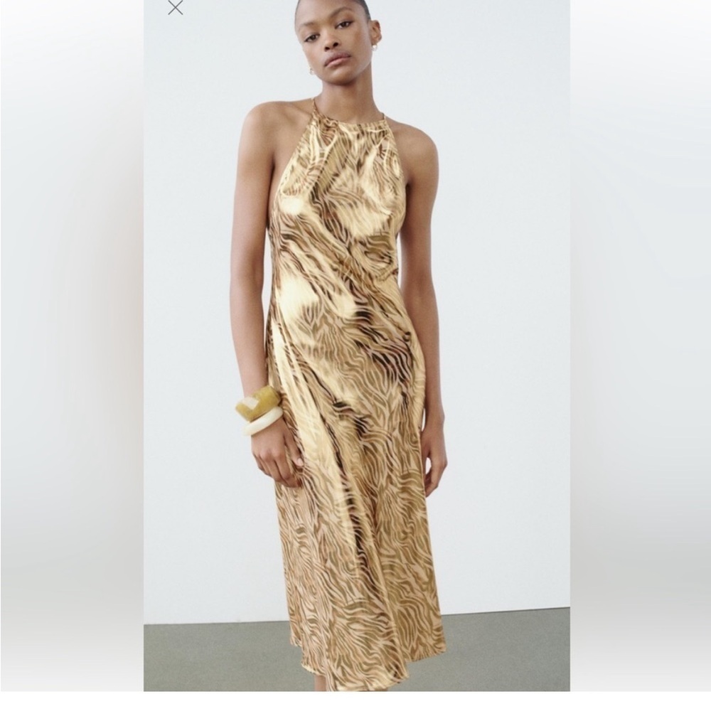 Zara Gold Zebra Print Dress